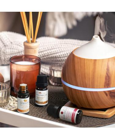 LOXIM Discovery Collection Essential Oil Set - 3 Fragrance Oils for Aromatherapy | 100% Pure Natural Scents - Santal Sparkle Rose Sugar Citrus Pop - Buy Online on GoSupps.com