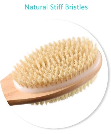 Long Wooden Handle Back Brush - Dual Bristles Body Shower Brush for Exfoliation & Skin Peeling | Wet/Dry Use - Buy Online on GoSupps.com