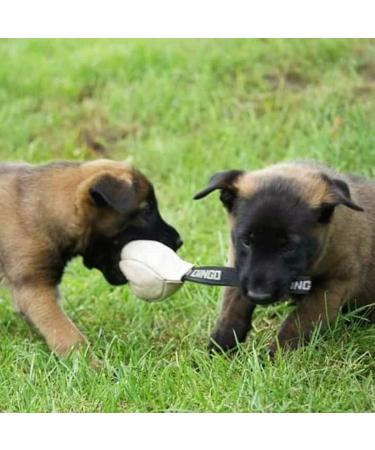Dingo Gear Dog Toy Softball - Handmade Real Leather for Puppies & Dogs | S02784 8 cm - Buy Online on GoSupps.com