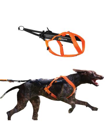 Non-stop dogwear Freemotion Harness 5.0 | Dog harness for all sports size: size 8 black/orange 8