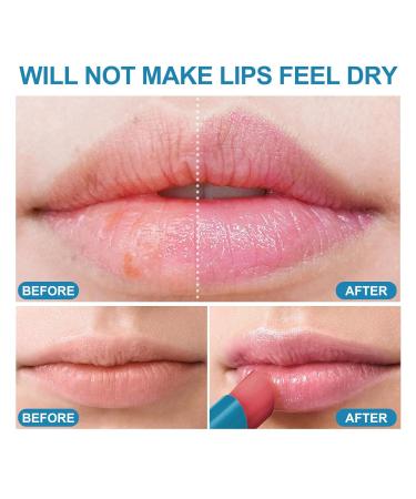 Hydrating Lip Tint - Sheer Color Chapstick | Ultra Moisturizer with Vitamin E for Dry Lips - Non-Sticky & Long-Lasting - Buy Online on GoSupps.com