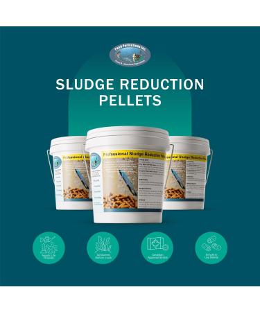 Pond Perfections Sludge Reduction Pellets 10lbs Natural Muck Remover for Ponds and Lakes 10 LBS - Buy Online on GoSupps.com