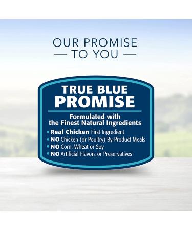 Blue Buffalo Life Protection Formula Small Breed Dry Dog Food - Natural & Nutritious Adult Formula - Buy Online on GoSupps.com