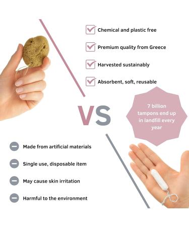 tom&pat Menstrual Sponge with String Alternative to Soft Tampon and Menstrual disc - DERMATEST: Very Good with Travel Change case Natural Sponge Washable & Reusable (Size S / 5 x 3-5 cm) - Buy Online on GoSupps.com
