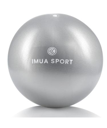 Barre Ball by Imua Sport - 9-inch Small Exercise Ball for Barre, Yoga, Pilates and More - Workout Guide Included