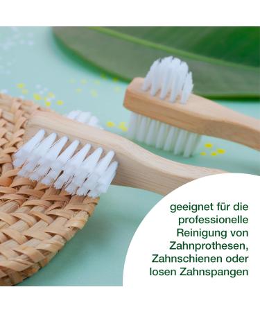 Wellsamed Savings Set: Denture Toothbrush & Blend-a-Dent Hygienic Toothpaste - Eco-Friendly Bamboo Brush for Third Teeth - Buy Online on GoSupps.com