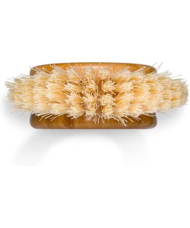 Full Circle The Ring Fruit and Vegetable 2 in 1 Fruit & Vegetable Cleaning Brush  Small (Pack of 1)  White - Buy Online on GoSupps.com