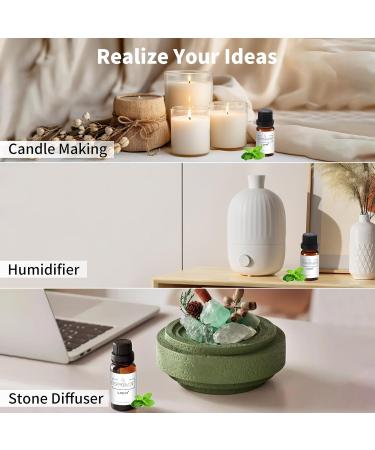 LOXIM Peppermint Essential Oil Pure Natural Essential Oils Fragrance Oil Perfect for Humidifiers Diffusers Candle Making Scent Home and Office (Pack of 1 Peppermint) Peppermint 0.34 Fl Oz (Pack of 1) - Buy Online on GoSupps.com