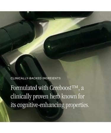 Juna Gut Therapy L-Glutamine Amino Acids & Probiotics for Gut-Brain Support Helps Mood Focus & Mental Clarity Dual-Action Probiotics Support Microbiome Balance With Clinically Studied Ginseng - Buy Online on GoSupps.com