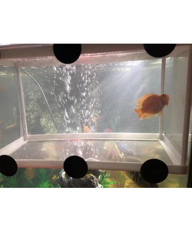 Large Fish Tank Breeder Net w/ Suction Cups | Nylon Mesh Aquarium Breeder Box for Fish Fry Hatchery & Breeding - Buy Online on GoSupps.com