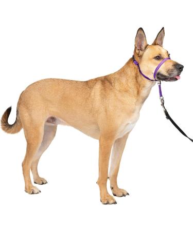Dog Head Collar No Pull Training Tool for Dogs on Walks Gentle Training Collar Stops Heavy Pulling On The Leash for Small Medium Large Dogs Training and Walking (M Purple) M Purple