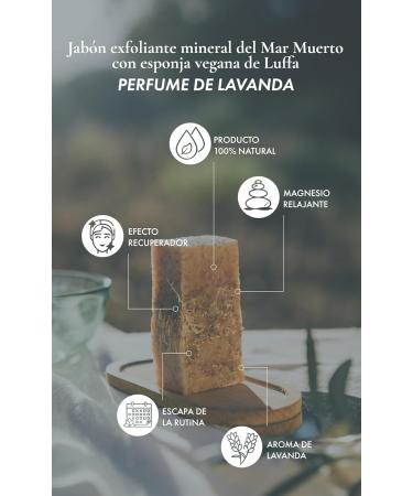 400Below - Dead Sea Mineral Exfoliating Soap Bar With Lavender Perfume Natural Regenerating Soap Bar Body Soap Bar with Vegan Loofah Sponge 200g - Buy Online on GoSupps.com