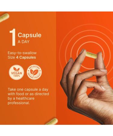 INVITA ADK 10 Vitamin Supplement 90 Capsules High Potency of Vitamin A D3 10 000 IU & K2-MK7 Physician Formulated ADK for Bone Heart & Immune Support Non-GMO Gluten Free (3-Month Supply) - Buy Online on GoSupps.com