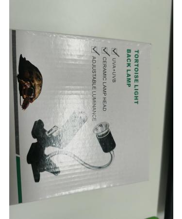 Shengruili Turtle Heat Lamp - 25W & 50W Reptile Terrarium Lighting for Turtles & Reptiles - Buy Online on GoSupps.com