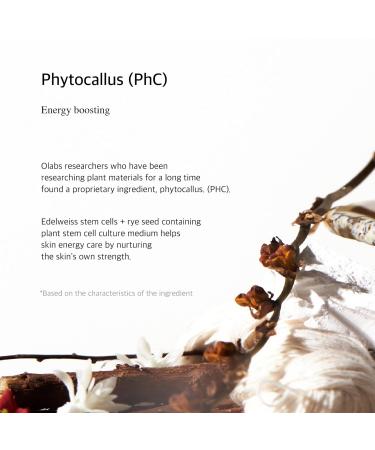 O'LABS PhC Lifting Serum 30ml / 1.01 fl.oz Hydrating & Revitalizing Facial Serum Deep Sea Water 60% - Buy Online on GoSupps.com