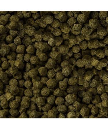 Buy Sera Koi Color Nature Medium 21L (7kg) - Natural Spirulina Fish Food for Colorful Koi (12-25cm) - No Colors or Preservatives - Buy Online on GoSupps.com