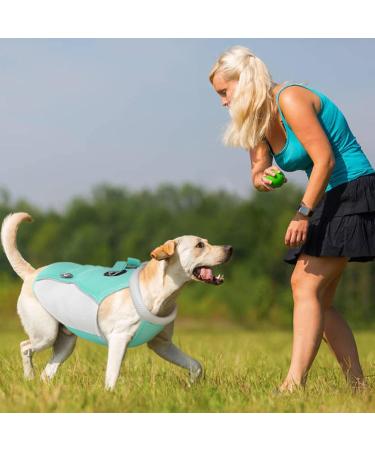 Hjyokuso Dog Cooling Vest - Summer Cooling Jacket for Small Medium & Large Dogs | Perfect for Outdoor Activities & Training | L Blue - Buy Online on GoSupps.com