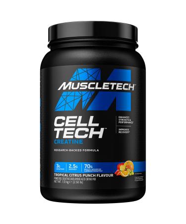 MuscleTech CellTech Creatine Monohydrate Powder Post Workout Recovery Drink Muscle Building & Recovery Powdered Shake With 3g Creatine 26 Servings g Tropical Citrus Tropical Citrus Punch 26 Servings (Pack of 1)