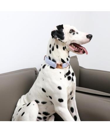 Buy Unique Adjustable Blue Stripes Dog Collar & Leash for Small Medium and Large Pets - International Shipping Available - Buy Online on GoSupps.com