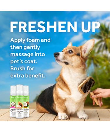 TropiClean Hypoallergenic Waterless Dog Shampoo 7.4 Fl Oz - Made in USA - Buy Online on GoSupps.com