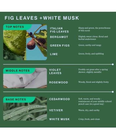 OffCourt - Fig Leaves + White Musk Scent Deodorant Body Spray (3 Pack) and Fragrance Bundle - Buy Online on GoSupps.com