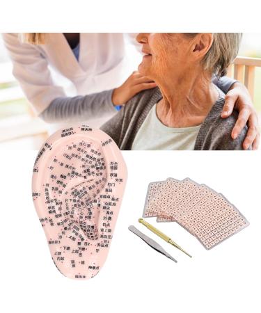 17 cm Ear Acupuncture Model | Auricle Point Silicone Model with Telescopic Probe & Tweezers for Accurate Acupuncture Therapy - Buy Online on GoSupps.com