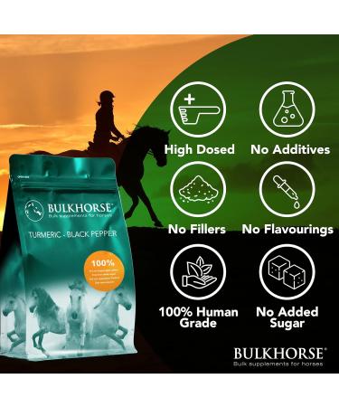 BulkHorse Turmeric + Black Pepper | 1000g for Joint Function & Digestion | No Added Sugar | Premium Quality Superfood - Buy Online on GoSupps.com