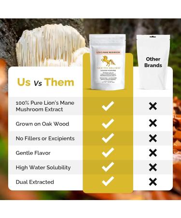 Addictive Wellness Lions Mane Supplement Powder, Premium Quality Lions Mane Mushroom Powder Dual-Extract Nootropic, Sugar Free, Vegan & Paleo Friendly Lion's Mane Mushroom Supplement - 1500 mg 1.76 Ounce (Pack of 1) - Buy Online on GoSupps.com