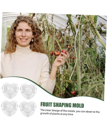 NUOBESTY 4pcs Heart Strawberry Mold Vegetables Fruit Shaping Molds Pear Melon Supply Watermelon Stereotypes - Buy Online on GoSupps.com