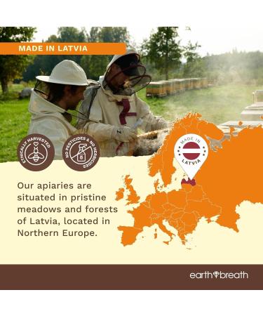 Earthbreath Assorted Bee Bread Pastilles - 150g (5.3 oz) Pure Raw Natural Perga/Ambrosia - Bee Pastilles with Black Currant Sea Buckthorn Berries and Apple Cinnamon - Buy Online on GoSupps.com