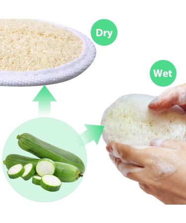 24-Piece Exfoliating Loofah Pad Set for Shower & Spa - Natural Body Scrubber Brush for Men and Women - Buy Online on GoSupps.com
