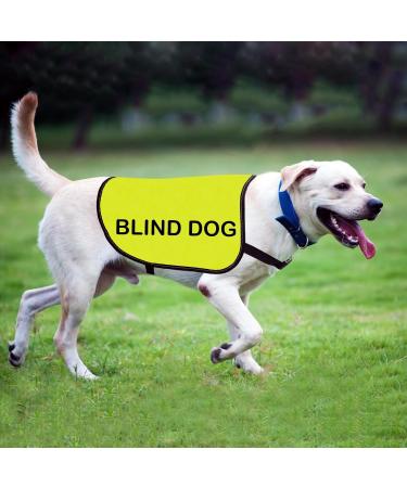 Blind Dog Jacket Vest Blind Awareness Dog Vest Dog Visually Impaired Dog Warning Vest (Blind Dog-Small) - Buy Online on GoSupps.com