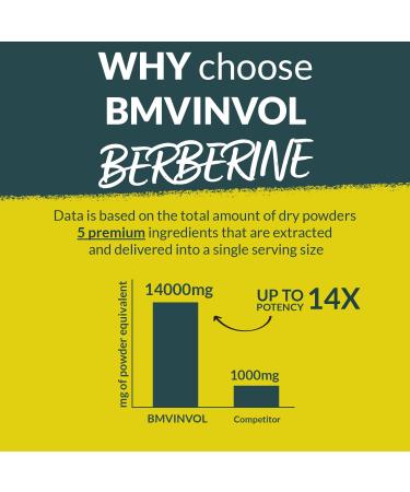 5-in-1 Berberine 14000mg with Ceylon Cinnamon, Milk Thistle, Turmeric & Artichoke - Immune & Heart Support - 3 Month Supply - Buy Online on GoSupps.com