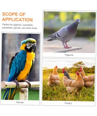 Kisangel 200 Pcs Pigeon Anklet Where Tag Pigeon Deterrent Spray Foot Ring for Pigeon Number Baby Pigeon Ring 1.3X1.3CMx2pcs Yellowx2pcs - Buy Online on GoSupps.com