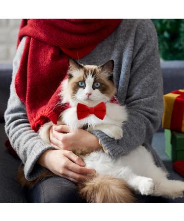 2 Pcs Velvet Bowtie Cat Collar with Bell Adjustable Breakaway Cat Collars Kitten Small Puppy Safety Bow Tie Solid Wedding Red Cat Collar for Boy Girl Cats - Buy Online on GoSupps.com