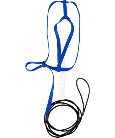 Buy XX-Large Blue Aviator Bird Harness | Best International Shipping for Pet Safety - Buy Online on GoSupps.com