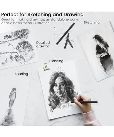 LOONENG Willow Charcoal Sticks - Pack of 25, Ideal for Sketching and Drawing - 7-9mm Diameter, Natural Charcoal for Artists, Beginners, and Students - Buy Online on GoSupps.com