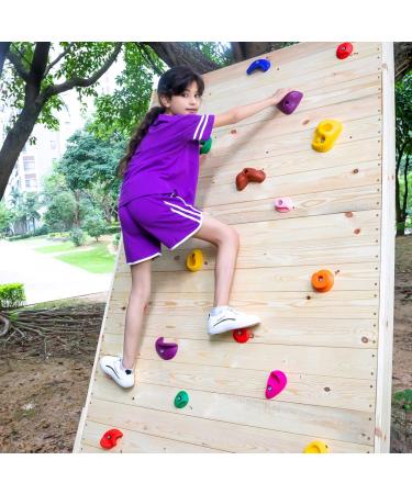 TOPNEW 32 Rock Climbing Holds for Kids & Adults - Indoor & Outdoor Playground Play Set with Mounting Hardware - Buy Online on GoSupps.com