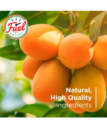 Fuel By Nature Dried Mango Slices - Healthy High Energy Snacks | 3 lb Bag | Made from Philippine Dried Mangoes - Buy Online on GoSupps.com