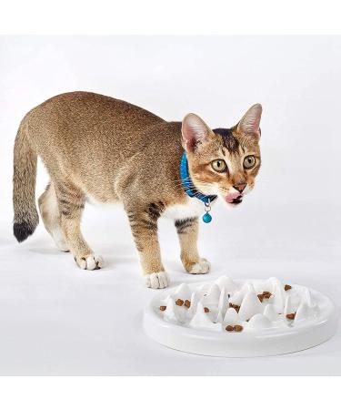 DotPet Ceramic Cat Slow Feeder Bowl - Anti-Gulping Interactive Pet Bowl for Healthy Eating, Preventing Bloat & Obesity - Buy Online on GoSupps.com