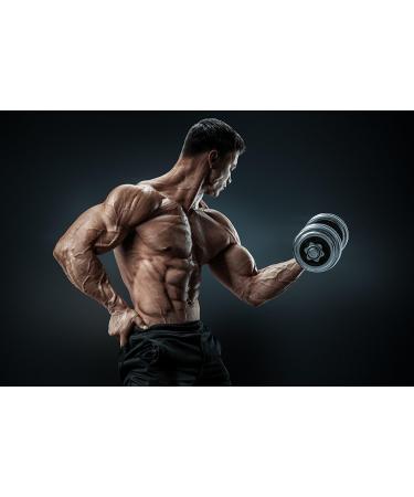 Alphavitalis Protein Shaker 600ml - BPA Free Leak-Proof Perfect for Fitness & Bodybuilding - Black & Red - Buy Internationally - Buy Online on GoSupps.com