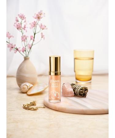 Jovan White Musk for Women Eau de Cologne Spray 2 fl oz (Pack of 1) Notes of Jasmine Musk and Amber Women's Fragrance Long Lasting Everyday Fragrance Travel Size White Musk EDC 2 Fl Oz (Pack of 1) - Buy Online on GoSupps.com