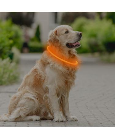 Coolzon LED Light Neck Band Dog Collar - Waterproof Adjustable Length 3 Modes Super Bright for Cats & Dogs - Orange - Buy Online on GoSupps.com