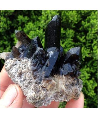 200-300g Rare Natural Beautiful Black Quartz Crystal Cluster Tibetan Specimen Decoration Gift ERTEYIN - Buy Online on GoSupps.com