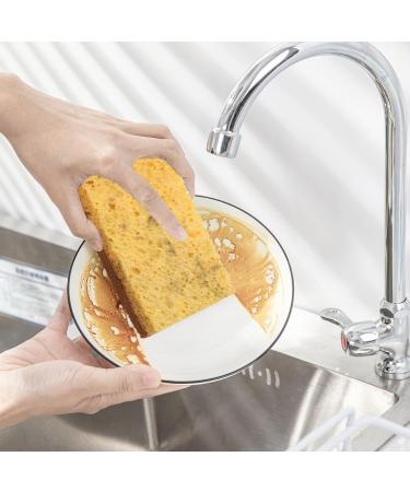 Luejnbogty 16 Pack Biodegradable and Compostable Sponges Scouring Pad Palm Fiber Eco-Friendly Sponge for Kitchen Dishes Cleaning - Buy Online on GoSupps.com