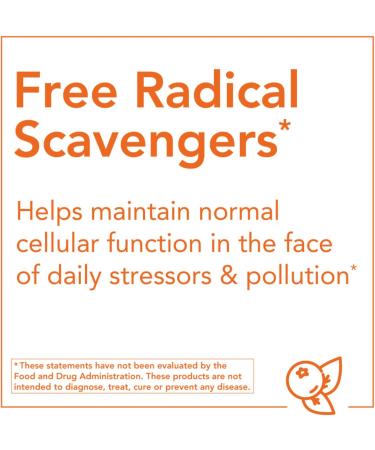 Now Foods Elderberry 500 mg - 120 Vegan Capsules | Immune Support Supplement - Buy Online on GoSupps.com