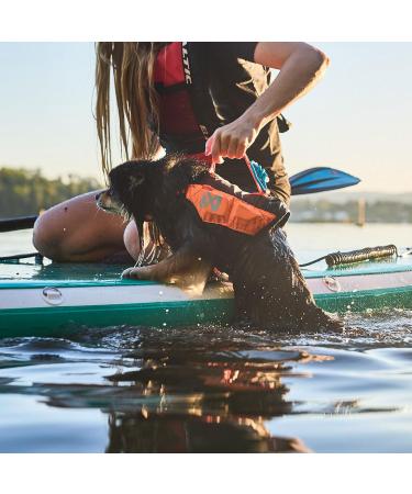 Non-stop Dogwear Protector Life Jacket | Size 2 | Ideal for SUB Rehabilitation & Safety | Shop Internationally - Buy Online on GoSupps.com