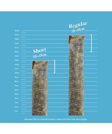 SKIPPER'S Fish Skin Flatties Sticks - Handmade and Air-Dried - 100% Dog Chews Long Lasting Natural Dog Treats - Skin Care - High Protein Low Fat Dog treats -250g Regular 250 g (Pack of 1) - Buy Online on GoSupps.com