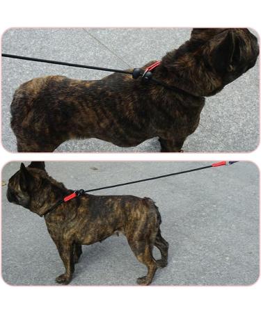 Zopseet Dog Leash Slip Nylon Dog Rope Leash & Collar Dog Choke Collar Handmade of Strong Cord for Small Medium Dogs Puppies - Buy Online on GoSupps.com