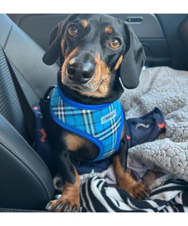 Bunty Tartan Small Dog Harness - Adjustable No Pull Puppy Harness for Small Dogs - Soft, Breathable, Anti-Pull - Red - Buy Online on GoSupps.com